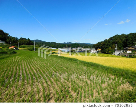 秋天的鄉村風光（9月攝於大阪府茨城市的Oaza Awao Iwasaka和Oaza Saho） 70102985