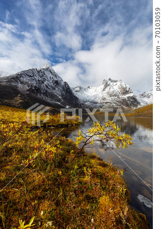 Grizzly Lake in Tombstone Territorial Park, Yukon, Canada 70103059