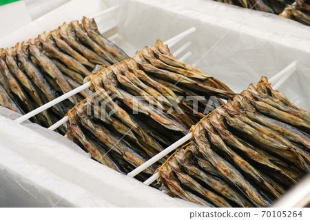 Shishamo are lined up Shishamo are lined up 70105264