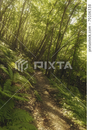 這是長廊的照片。 70106338