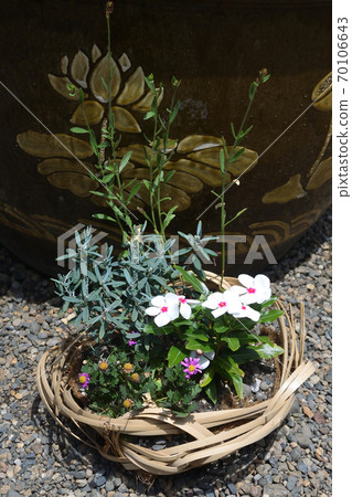 Denboin Garden 70106643