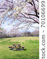 Table bench in Shiba Park surrounded by cherry blossoms [April] 70106699