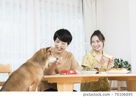 Living with a dog Meal Living with a dog Meal 70106895