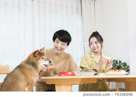 Living with a dog Meal Living with a dog Meal 70106896