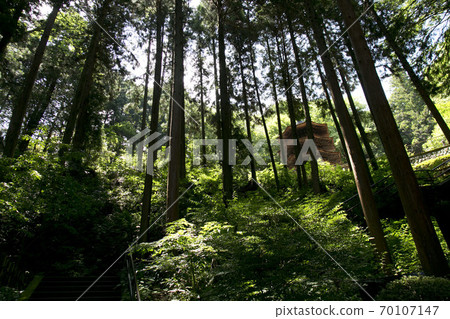 長野縣國寶安樂寺八角形三塔 長野縣國寶安樂寺八角形三塔 70107147