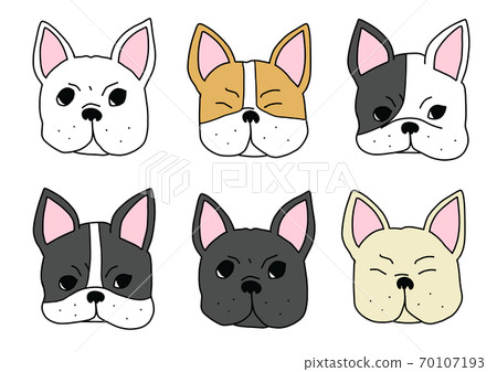 法國鬥牛犬的臉 70107193