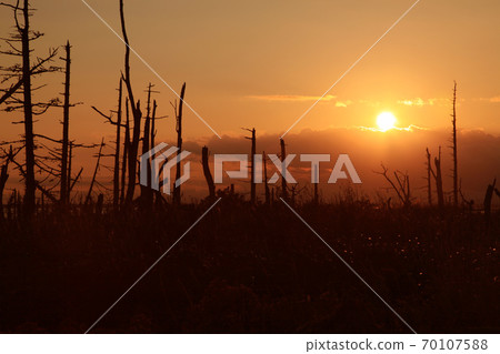 Evening view of Todowara, Notsuke Peninsula 70107588