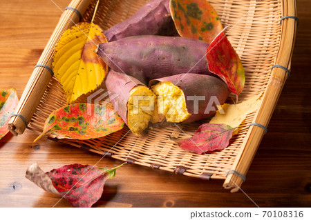 Sweet potato Sweet potato 70108316