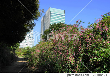 384年10月gi(Ha),Mame家族,芝芝前花園 384年10月gi(Ha),Mame家族,芝芝前花園 70108421