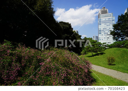 382年10月gi(Ha),Mame家族,芝芝前花園 382年10月gi(Ha),Mame家族,芝芝前花園 70108423