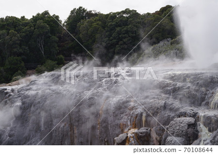 Landscape of Rotorua de Puia, New Zealand 70108644