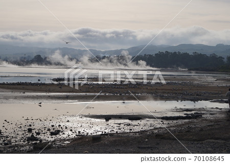 New Zealand Rotorua Lake Rotorua landscape 70108645