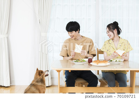 A dog that wants a human diet A dog that wants a human diet 70109721