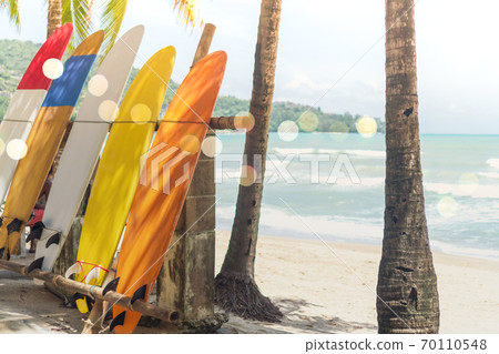 Many surfboards beside coconut trees at summer beach with sun light and blue sky background. 70110548