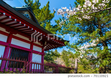 東京練馬區石上公園的七島神社和櫻花 東京練馬區石上公園的七島神社和櫻花 70110921