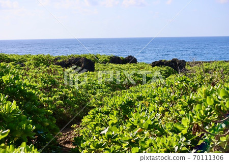Cape overlooking the East China Sea and the Pacific Ocean Cape overlooking the East China Sea and the Pacific Ocean 70111306