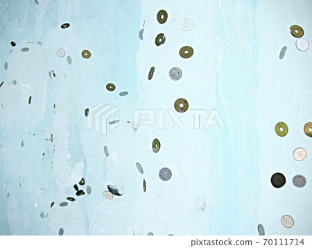 Coin trapped in ice Coin trapped in ice 70111714