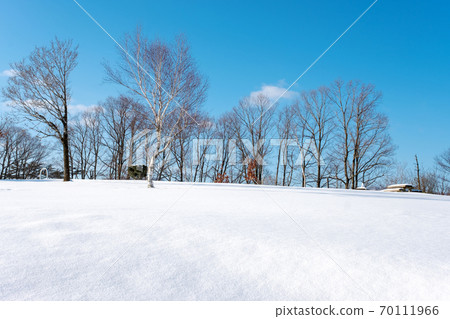斯諾伊山高原多雪的風景 斯諾伊山高原多雪的風景 70111966