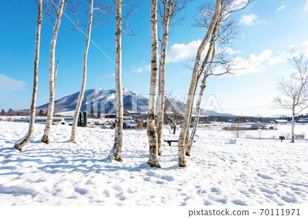 斯諾伊山高原多雪的風景 70111971