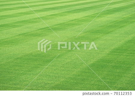 Soccer field lawn Soccer field lawn 70112353