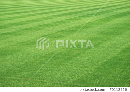 Soccer field lawn Soccer field lawn 70112356
