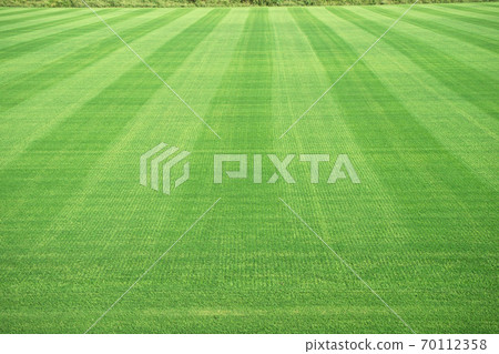 Soccer field lawn Soccer field lawn 70112358