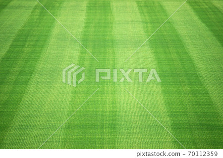 Soccer field lawn Soccer field lawn 70112359