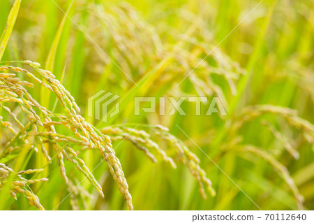 日本風景“稻荷” 日本風景“稻荷” 70112640