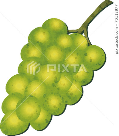 秋季水果葡萄馬斯喀特水彩插畫素材 70112977