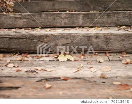 Autumn's Day 70113448