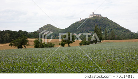Bezdez castle ruin, Czech republic Bezdez castle ruin, Czech republic 70114815
