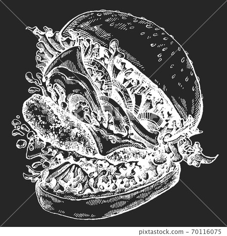 Burger. Vector illustration for menu, restaurant, internet food delivery. Sandwich with ham, beef, bread. American fast food. 70116075