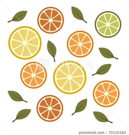 切片柑橘的插圖 70120160
