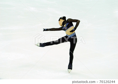 Figure Skating Figure Skating 70120244