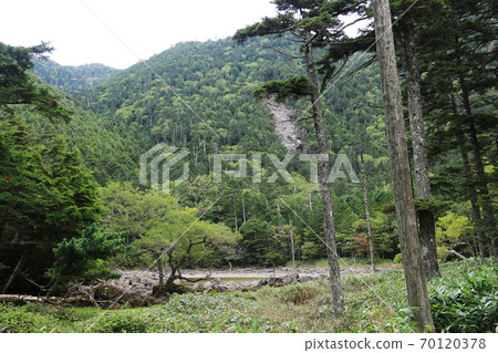 初秋的北八岳,龜池 初秋的北八岳,龜池 70120378