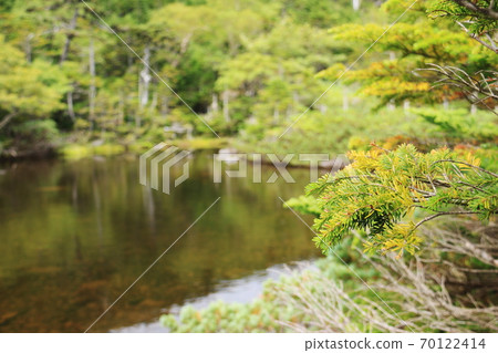 Northern Yatsugatake in early autumn, Kitayokodake, Nanatsuike in silence 70122414