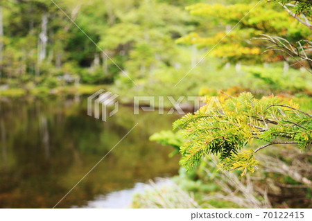 Northern Yatsugatake in early autumn, Kitayokodake, Nanatsuike in silence 70122415