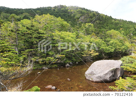 初秋的北八岳，寂靜的七津池北橫岳 70122416