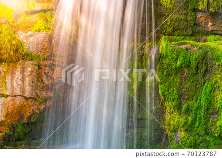 Wild Forest Waterfall Wild Forest Waterfall 70123787