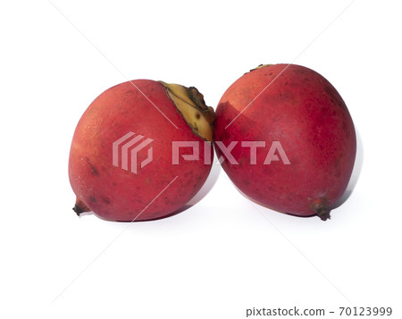 Foxtail palm fruit on white background. 70123999