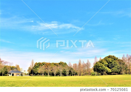 岸和田/ Maginoike Park春天的景色 岸和田/ Maginoike Park春天的景色 70125081