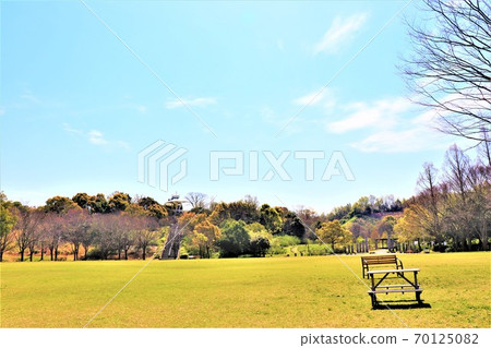 岸和田/ Maginoike Park春天的景色 70125082