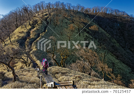Hikers going along the Tanzawa ridgeline in winter Hikers going along the Tanzawa ridgeline in winter 70125457