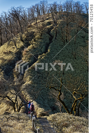 Hikers going along the Tanzawa ridgeline in winter Hikers going along the Tanzawa ridgeline in winter 70125458