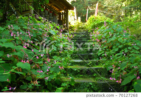 Chichibu Walk: Chichibu 34 Kannon, Hizawa, Suisenji Temple, Soto Sect Chichibu Walk: Chichibu 34 Kannon, Hizawa, Suisenji Temple, Soto Sect 70127268