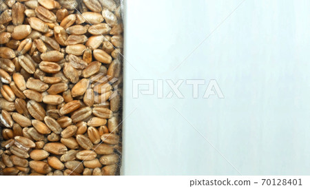 Grain processing at the plant. Drying and storage concept for bread grain, copy space for text Grain processing at the plant. Drying and storage concept for bread grain, copy space for text 70128401