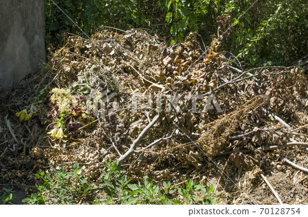 A pile of garbage. Dry branches and grass. A pile of garbage. Dry branches and grass. 70128754