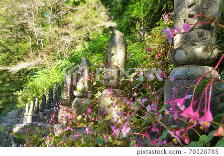 Chichibu Walk: Chichibu 34 Kannon, Hizawa, Suisenji Temple, Soto Sect Chichibu Walk: Chichibu 34 Kannon, Hizawa, Suisenji Temple, Soto Sect 70128785