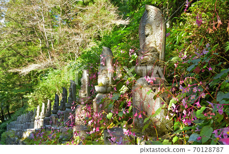 秩父步道：秩父第34次Fudasho，Hizawa，Suikoji寺，Soto宗 70128787