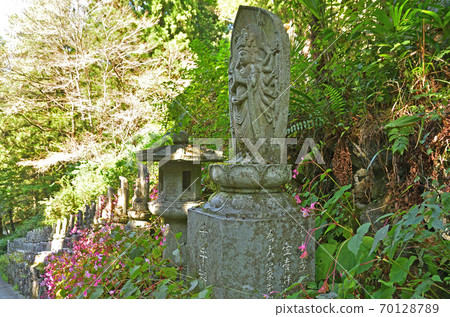 秩父步道:秩父第34次Fudasho,Hizawa,Suikoji寺,Soto宗 秩父步道:秩父第34次Fudasho,Hizawa,Suikoji寺,Soto宗 70128789